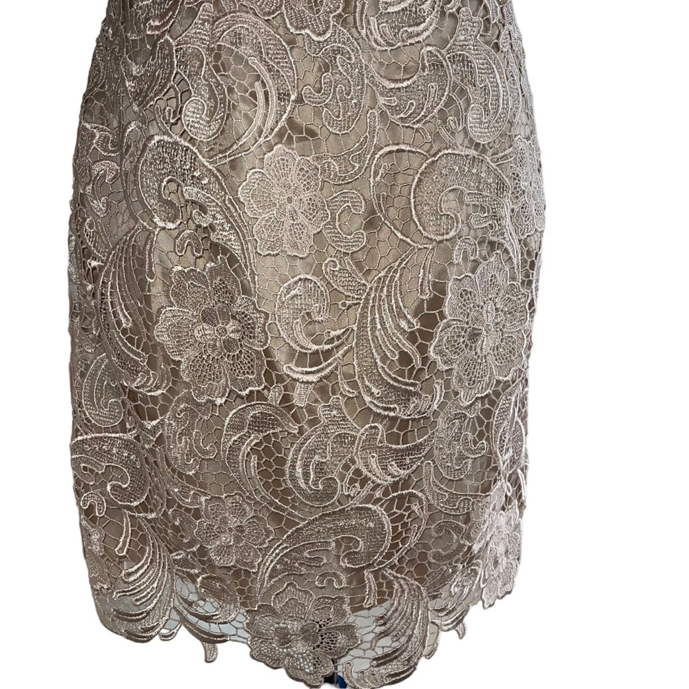 Adrianna Papell Boutique Women’s Sheath Dress Champagne Lace Over Lay Size 8 - Picture 5 of 10